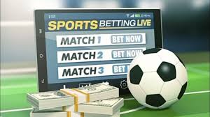 Exploring the World of Online Betting with wezabet 16