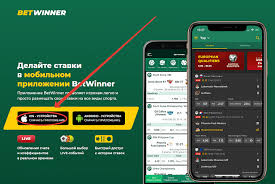 Everything You Need to Know About Betwinner 5 Everything You Need to Know About Betwinner 5