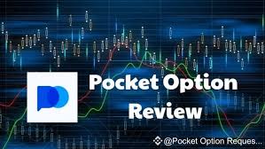 Your Ultimate Guide to Pocket Option